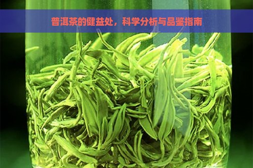 普洱茶的健益处，科学分析与品鉴指南