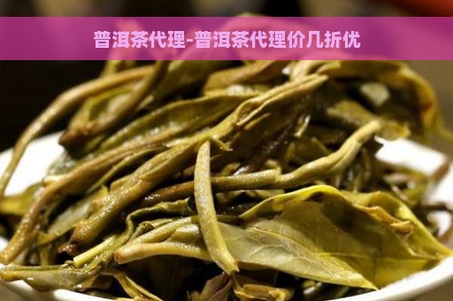 普洱茶代理-普洱茶代理价几折优