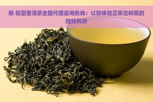 新 和田普洱茶全国代理咨询热线：让您体验正宗古树茶的独特风味