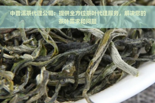 中普洱茶代理公司：提供全方位茶叶代理服务，解决您的茶叶需求和问题