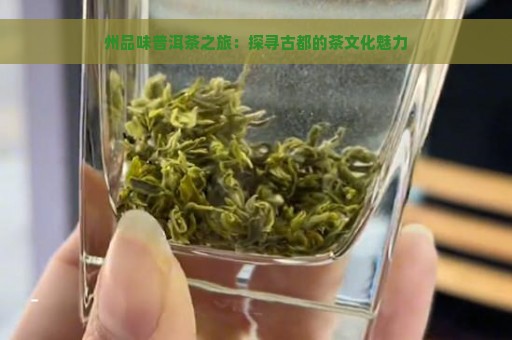 州品味普洱茶之旅：探寻古都的茶文化魅力