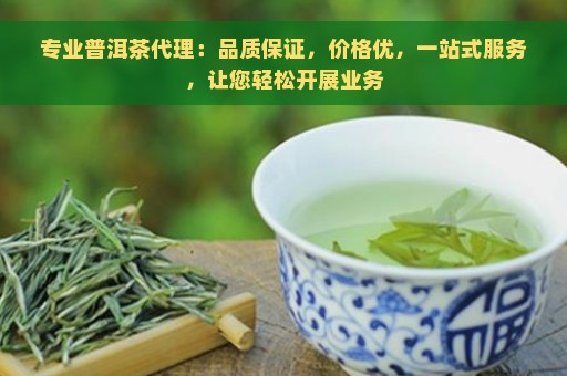 专业普洱茶代理：品质保证，价格优，一站式服务，让您轻松开展业务