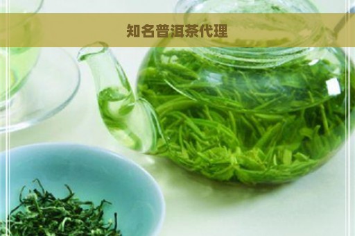 知名普洱茶代理