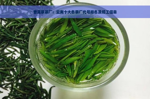 普洱茶茶厂：云南十大名茶厂代号排名及招工信息