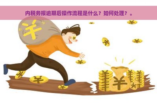 内税务报逾期后操作流程是什么？如何处理？。