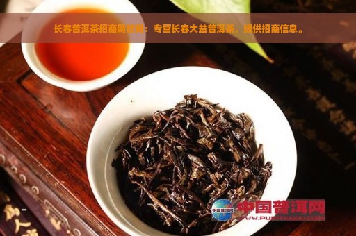 长春普洱茶招商网官网：专营长春大益普洱茶，提供招商信息。