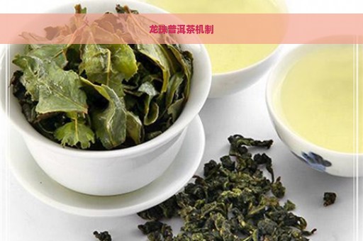 龙珠普洱茶机制