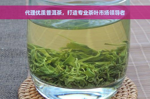 代理优质普洱茶，打造专业茶叶市场领导者