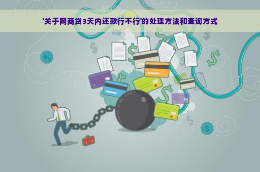 '关于网商贷3天内还款行不行'的处理方法和查询方式