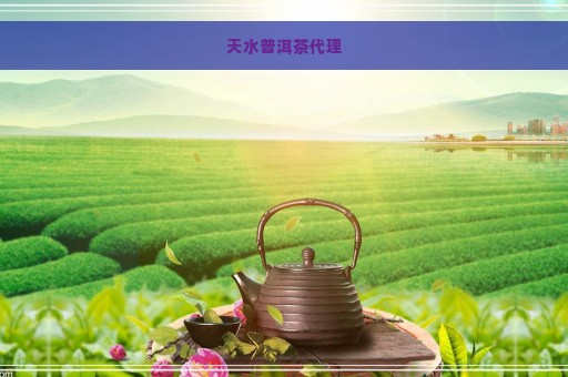 天水普洱茶代理