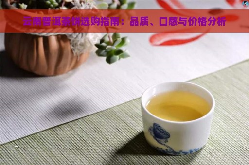 云南普洱茶饼选购指南：品质、口感与价格分析