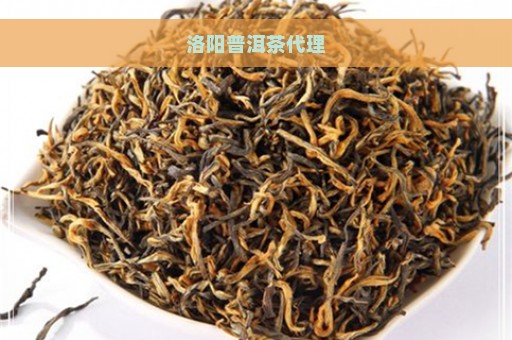 洛阳普洱茶代理