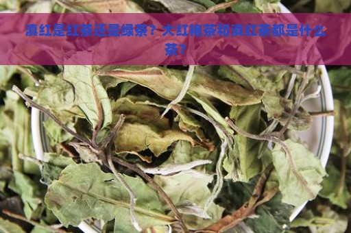 滇红是红茶还是绿茶？大红袍茶和滇红茶都是什么茶？