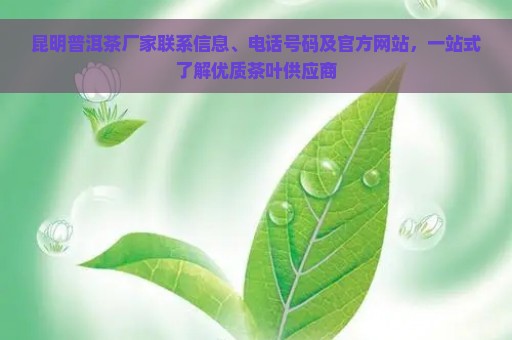 昆明普洱茶厂家联系信息、电话号码及官方网站，一站式了解优质茶叶供应商