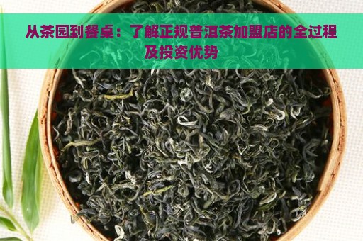 从茶园到餐桌：了解正规普洱茶加盟店的全过程及投资优势