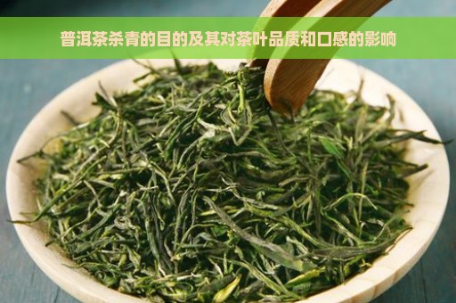 普洱茶杀青的目的及其对茶叶品质和口感的影响