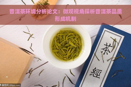 普洱茶环境分析论文：微观视角探析普洱茶品质形成机制