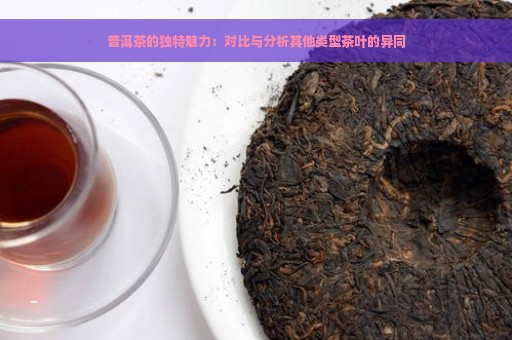 普洱茶的独特魅力：对比与分析其他类型茶叶的异同