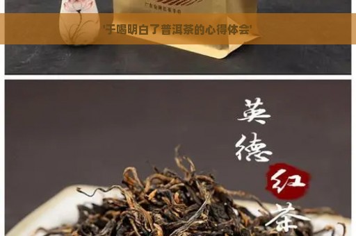 '于喝明白了普洱茶的心得体会'