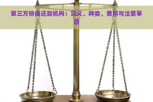 第三方协商还款机构：定义、种类、费用与注意事项