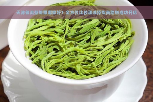 天津普洱茶加盟哪家好？全方位比较和选择指南助您成功开店