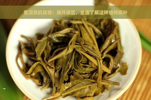 普洱茶的真相：揭开误区，全面了解这种独特茶叶