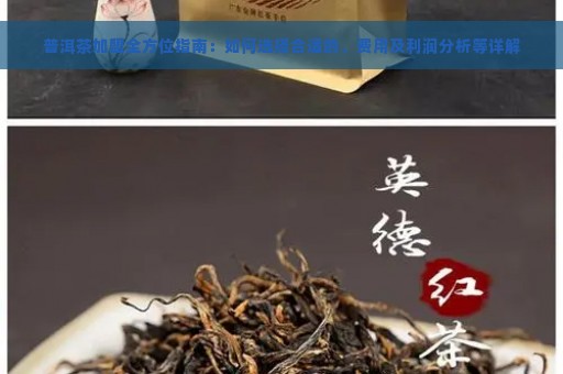 普洱茶加盟全方位指南：如何选择合适的、费用及利润分析等详解