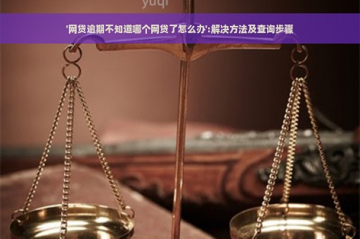 '网贷逾期不知道哪个网贷了怎么办':解决方法及查询步骤