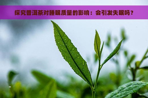 探究普洱茶对睡眠质量的影响：会引发失眠吗？