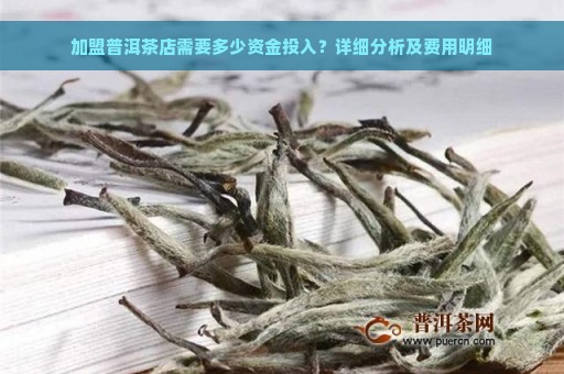 加盟普洱茶店需要多少资金投入？详细分析及费用明细