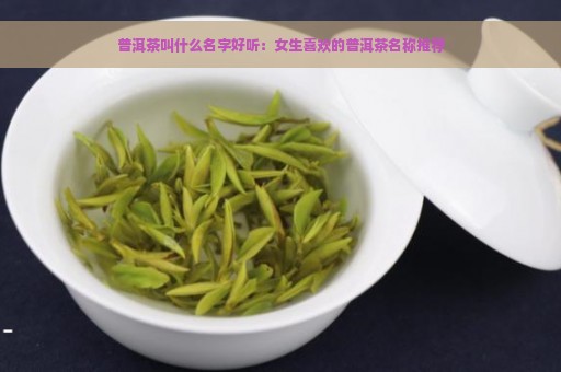 普洱茶叫什么名字好听：女生喜欢的普洱茶名称推荐