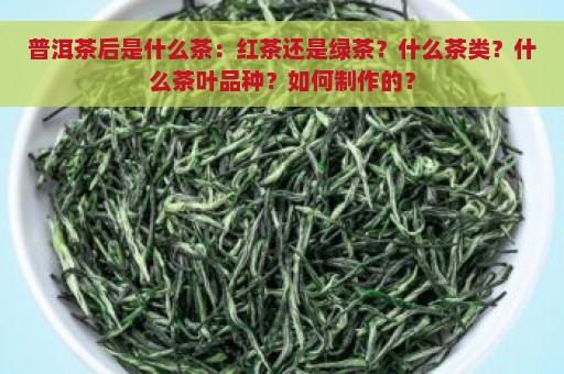 普洱茶后是什么茶：红茶还是绿茶？什么茶类？什么茶叶品种？如何制作的？