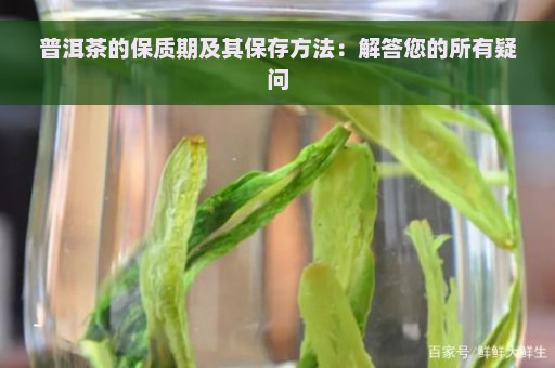 普洱茶的保质期及其保存方法：解答您的所有疑问