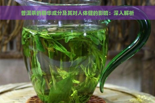 普洱茶的精华成分及其对人体健的影响：深入解析