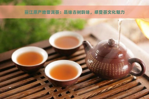 丽江原产地普洱茶：品味古树韵味，感受茶文化魅力