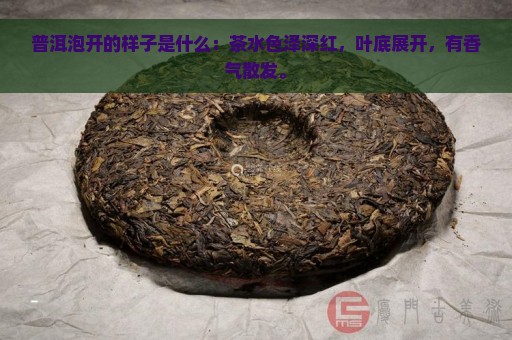 普洱泡开的样子是什么：茶水色泽深红，叶底展开，有香气散发。