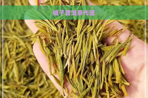 橘子普洱茶代理