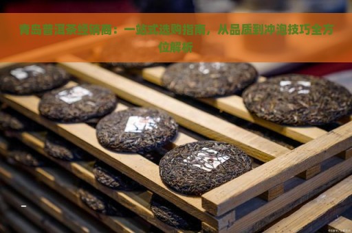 青岛普洱茶经销商：一站式选购指南，从品质到冲泡技巧全方位解析