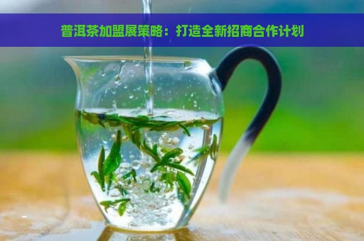 普洱茶加盟展策略：打造全新招商合作计划