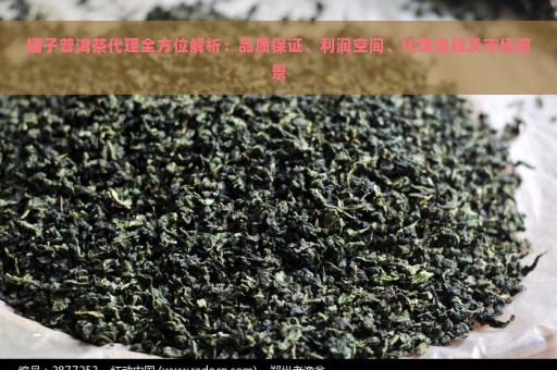 橘子普洱茶代理全方位解析：品质保证、利润空间、代理流程及市场前景