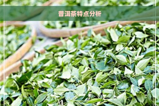 普洱茶特点分析