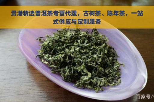 贵港精选普洱茶专营代理，古树茶、陈年茶，一站式供应与定制服务