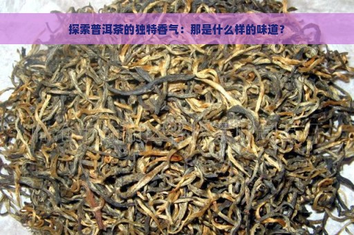 探索普洱茶的独特香气：那是什么样的味道？