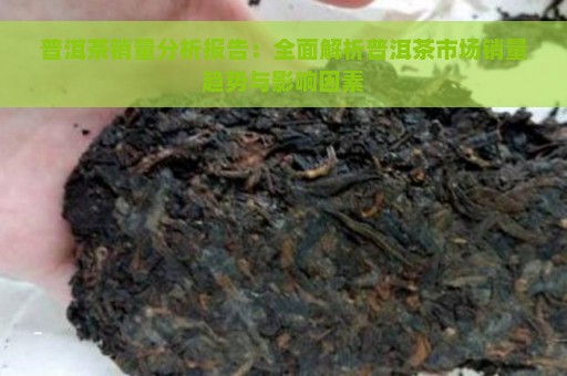 普洱茶销量分析报告：全面解析普洱茶市场销量趋势与影响因素