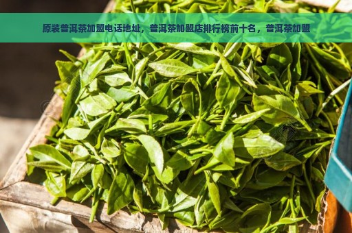 原装普洱茶加盟电话地址，普洱茶加盟店排行榜前十名，普洱茶加盟