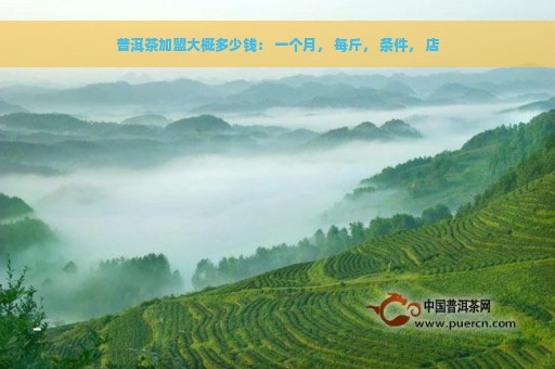 普洱茶加盟大概多少钱： 一个月， 每斤， 条件， 店