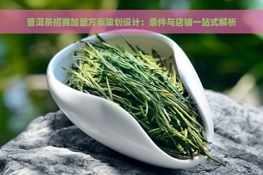 普洱茶招商加盟方案策划设计：条件与店铺一站式解析