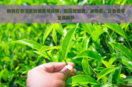 新黄石普洱茶加盟费用详解，包括加盟费、装修费、设备费等全面解析