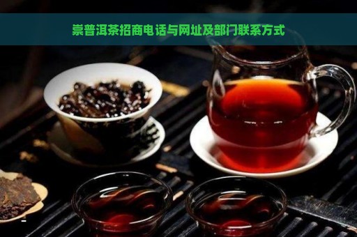 崇普洱茶招商电话与网址及部门联系方式