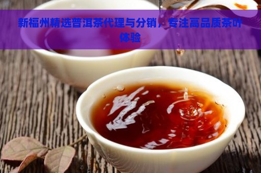 新福州精选普洱茶代理与分销，专注高品质茶叶体验